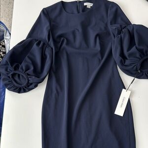 Calvin Klein Dark Blue Long Sleeve long Dress